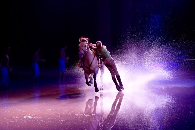 odysseo-finale_lynne-glazer_0_RESIZED