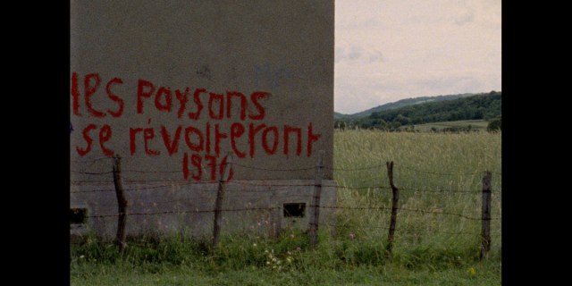 Too_Early_Too_Late_2