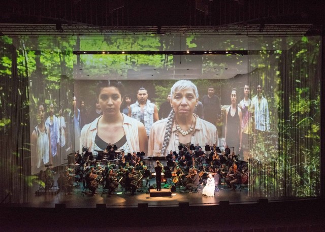 resized_LUMINATO-2017-Life-Reflected-Photo-by-Fred-Cattroll-I-Lost-My-Talk